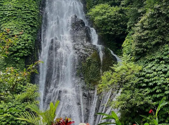 Konukevi Serenity *